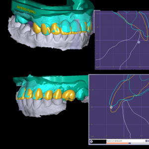 Online Course (Zoom)