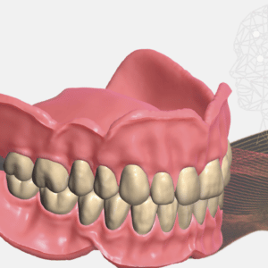 Master exocad denture module