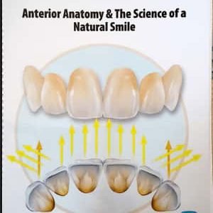Anterior Anatomy and the Science of a Natural Smile